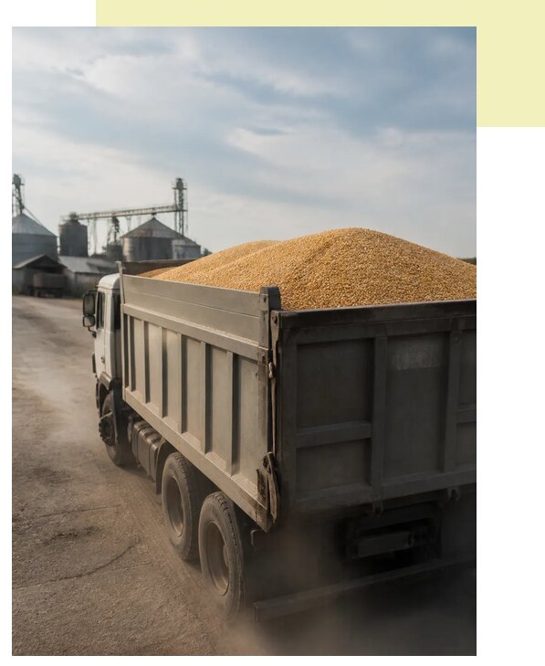 Перевозка сельхозпродукции навалом в Шумерлю по цене от 3259 р. | Агросервис-Шмр
